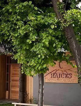 Raices Bed And Breakfast Coyhaique Eksteriør bilde