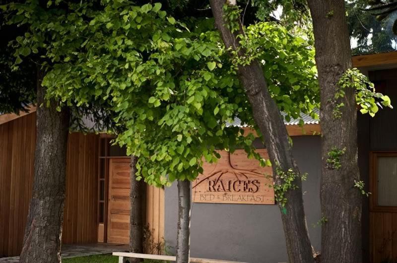 Raices Bed And Breakfast Coyhaique Eksteriør bilde